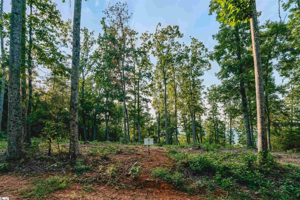 200 Chestnut Mountain Road