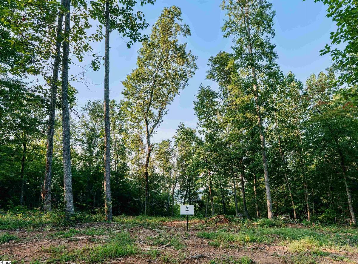 200 Chestnut Mountain Road