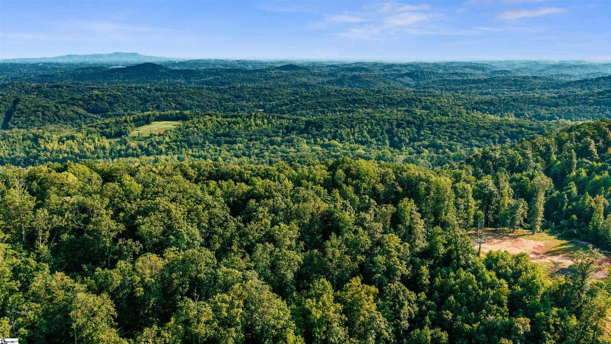 200 Chestnut Mountain Road