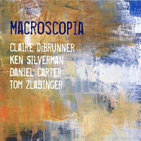 Claire DeBrunner / Ken Silverman / Daniel Carter / Tom Zlabinger: Macroscopia