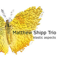 Elastic Aspects by Matthew Shipp