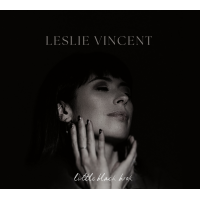 Little Black Book by Leslie Vincent