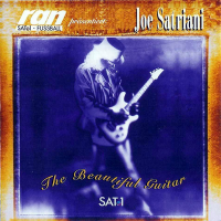 The Beautiful Guitar by Joe Satriani