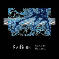 David Borgo: KaiBorg: Harvesting Metadata