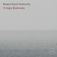 12 Angry Mushrooms by Milos Bosnic