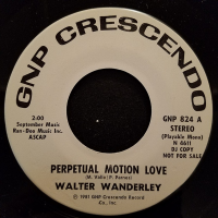 Perpetual Motion Love by Walter Wanderley