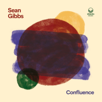 Confluence by Sean Gibbs