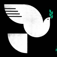 Spirit Fall by John Patitucci