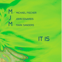 IT IS by Michael Fischer
