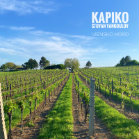 Viensko Horo (KAPIKO) by Batuhan Aydın