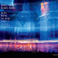 Going Where The Wind Takes It by Pavel Hrubý