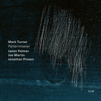 Patternmaster by Mark Turner