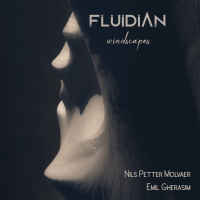 Windscapes by Fluidian