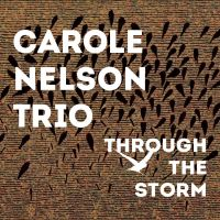 Through The Storm by Carole Nelson