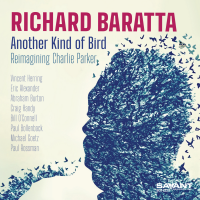 Another Kind of Bird