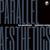 Parallel Aesthethics