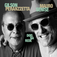 Dois Na Rede by Gilson Peranzzetta