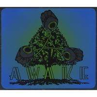 Awake by Gwen Mitchell Trio