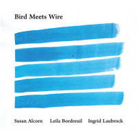 Susan Alcorn / Leila Bordreuil / Ingrid Laubrock: Bird Meets Wire