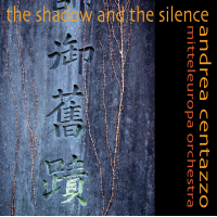 The Shadow And The Silence by Andrea Centazzo