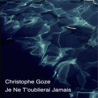 Je ne t&prime;oublierai jamais (Single) by Christophe Goze