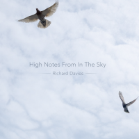 High Notes From In The Sky by Richard Davies