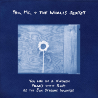 You are in a Kitchen Filled with Plants as the Sun Streams Inwards by You, Me, + the Whales
