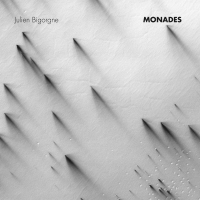 Monades by Julien Bigorgne