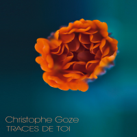 Traces De Toi (Single) by Christophe Goze