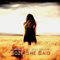 She Said (Single) by Christophe Goze