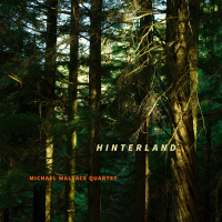 Hinterland by Michael Wallace