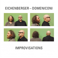 Roberto Domeniconi: Improviations