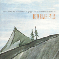 Bow River Falls by Dave Douglas