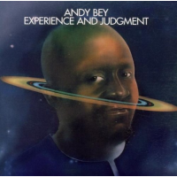 Experience and Judgement by Andy Bey