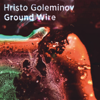 Ground Wire by Hristo Goleminov