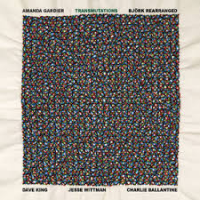 Transmutations: Bjork Rearranged by Amanda Gardier