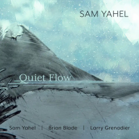 Quiet Flow by Sam Yahel
