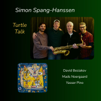 Turtle Talk by Simon Cato Spang-Hanssen