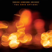 Read "You Have Options" reviewed by Glenn Astarita