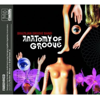 Charlie Hunter: Anatomy Of Groove