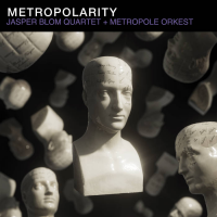 Metropolarity by Jasper Blom