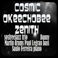 Cosmic Okeechobee Zenith by Saulo Ferreira