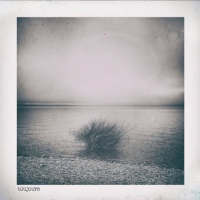 Toujours by German Lema