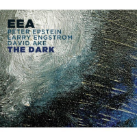 The Dark by Peter Epstein