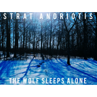 The Wolf Sleeps Alone by Strat Andriotis