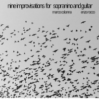 Nine Improvisations for Sopranino &amp; Guitar 