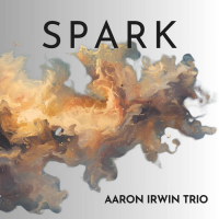 Spark by Aaron Irwin