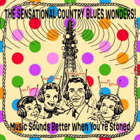 The Sensational Country Blues Wonders!