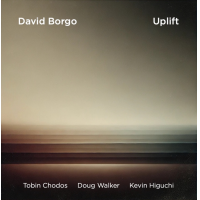 David Borgo: Uplift