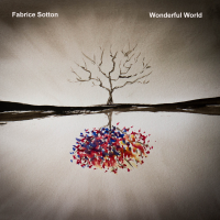 Wonderful World by Fabrice Sotton